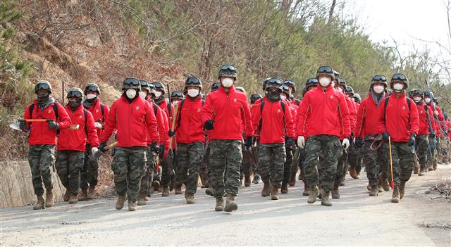 울진 산불 잡는 해병대