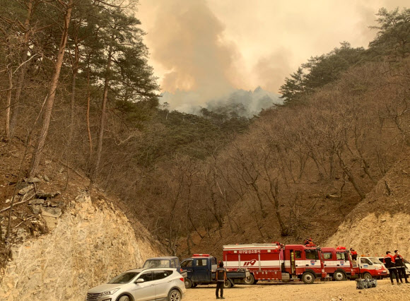 군락지 경계까지 접근한 불길  울진·삼척 산불 닷새째인 8일 경북 울진군 금강송면 소광리에 있는 국내 최대 금강송 군락지 경계까지 불길이 다가와 연기가 보이고 있다.<br>울진 연합뉴스