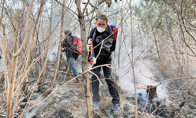 8일 동해시 비천동 지역 산불 현장에 투입된 동해시청 직원들이 진화작업을 벌이고 있다. 연합뉴스