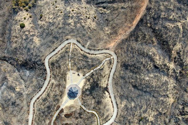 처참한 모습의 울진 도화동산