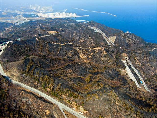 잿더미로 변한 삼척 일원