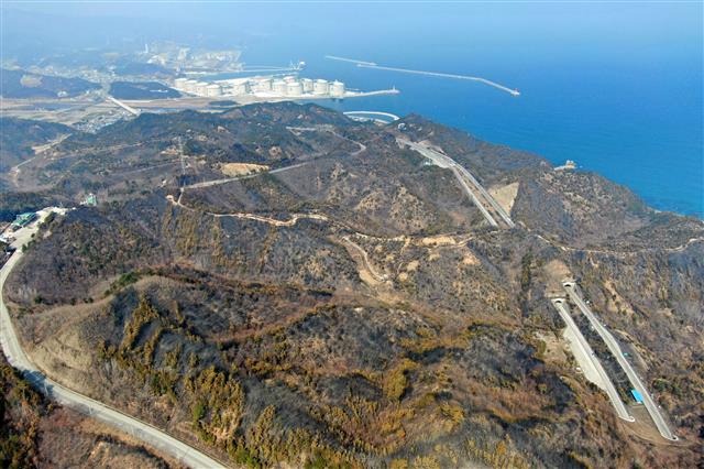 화마가 할퀸 삼척 일대 산림