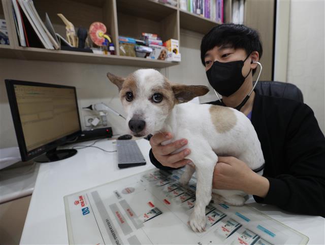 ‘우리동네 동물병원’ 58개소 지정