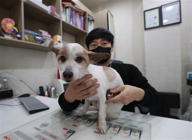 ‘중성화 수술비까지 지원합니다’