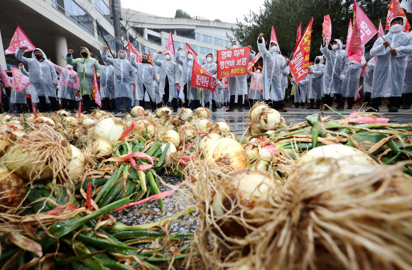 “양파 최저 생산비 보장하라!”