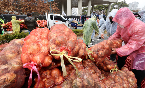 성난 ‘양파’ 재배 농민들