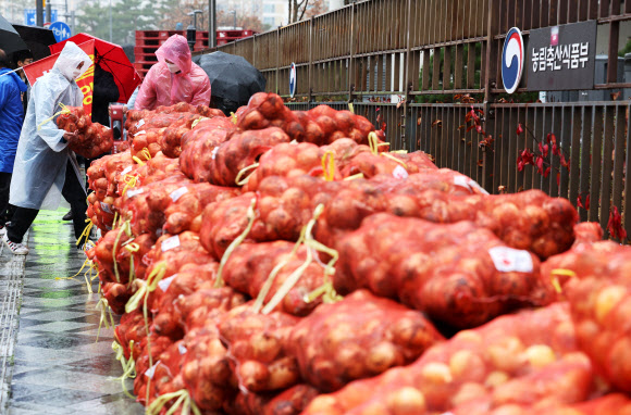 성난 ‘양파’ 재배 농민들