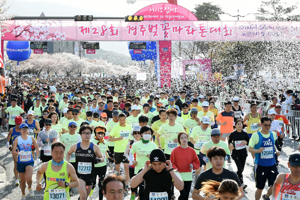 경주벚꽃마라톤대회 모습. 경주시 제공