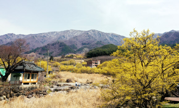 봄이 온 자리, 남아 있는 겨울