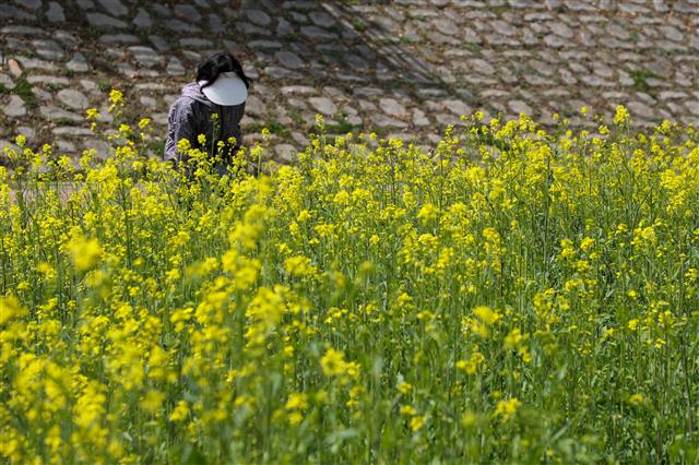 춘분을 맞이한 온천천