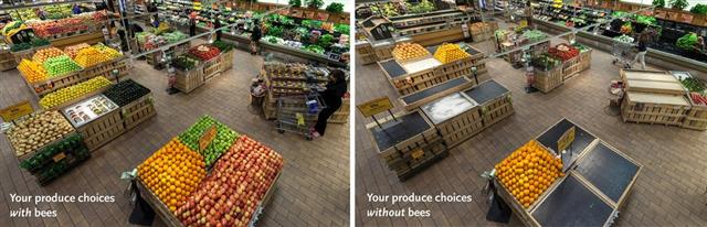꿀벌이 사라질 경우 대형마트 매장이 어떻게 변하는지 보여 주는 모습. 꿀벌이 사라지면 오른쪽 사진처럼 대부분의 과일과 채소를 구하기 어렵게 된다. 미국 홀푸드마켓 제공
