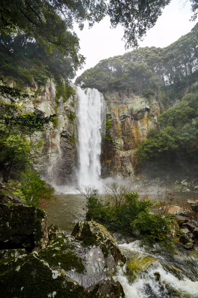 26일 제주 서귀포시 강정동 엉또폭포가 전날부터 내린 폭우로 물줄기가 터져 장관을 연출하고 있다. 엉또폭포는 한라산에 많은 비가 내려야만 폭포수가 쏟아진다. 제주 산간에는 지난 25일부터 26일 오전 7시까지 한라산 삼각봉 581㎜, 윗세오름 432.5㎜, 진달래밭 429.5㎜ 등 최고 580㎜ 넘는 많은 비가 내렸다. 2022.3.26  제주도 제공