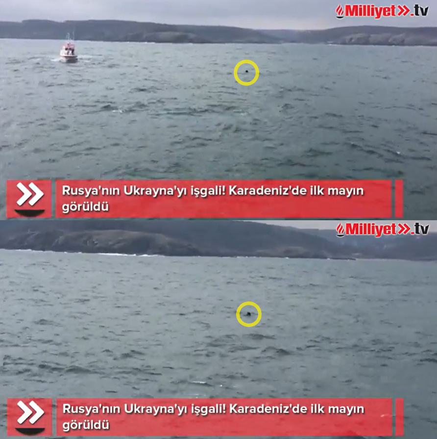 터키 보스포루스 해협 북쪽 해상에서 기뢰로 추정되는 물체가 발견됐다고 터키 국방부가 26일(현지시간) 밝혔다. 밀리예트 홈페이지 캡처