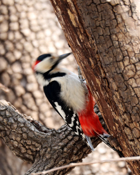 여기는 먹을 게 있나?