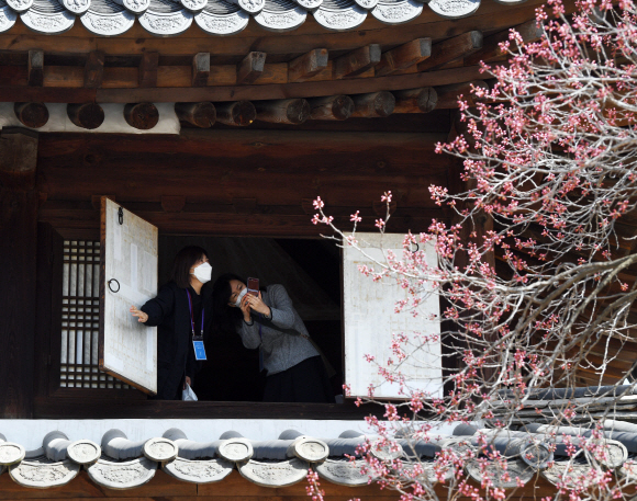 29일 서울 덕수궁에서 시민들이 석어당 2층에 올라 창문 너머로 살구꽃을 감상하고 있다. 덕수궁관리소는 덕수궁의 주요 전각 내부를 둘러보며 살구꽃을 감상할 수 있는 특별 공개 프로그램을 오는 3일까지 매일 2회(오전 10시, 오후 3시30분) 운영한다.2022.3.29  박윤슬 기자