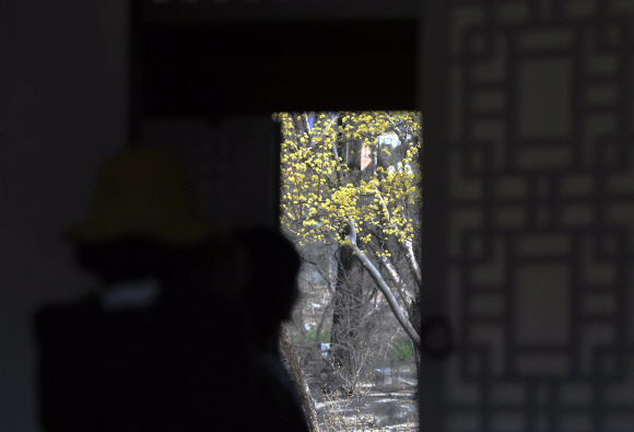 29일 서울 덕수궁에서 시민들이 전문가의 해설을 들으며 ‘전각 내부 특별관람’을 하고 있다. 덕수궁관리소는 덕수궁의 주요 전각 내부를 둘러보며 살구꽃을 감상할 수 있는 특별 공개 프로그램을 오는 3일까지 매일 2회(오전 10시, 오후 3시30분) 운영한다.2022.3.29  박윤슬 기자