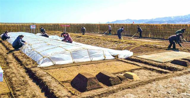 북한 봄철 들녘, 벼모판 씨뿌리기·논발같이 한창