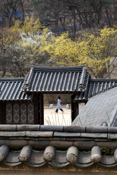 봄옷 입은 궁궐