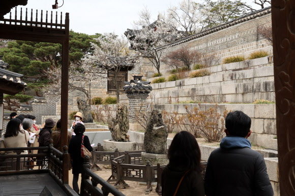 낙선재 후원 봄철 특별관람