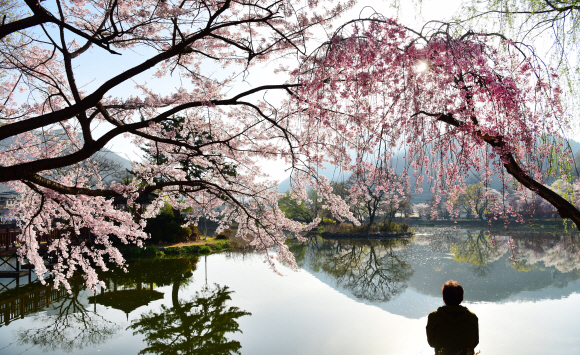 창녕 영산면의 연지못. 불덩어리를 닮았다는 마을 뒤 영축산의 기운을 누르기 위해 벼루 모양으로 조성했다.