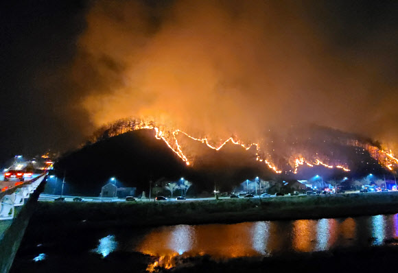 민가 위협하는 양구 산불… 주말 전국서 37건 산불 발생