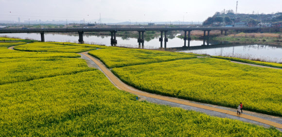 함께 걷는 봄날