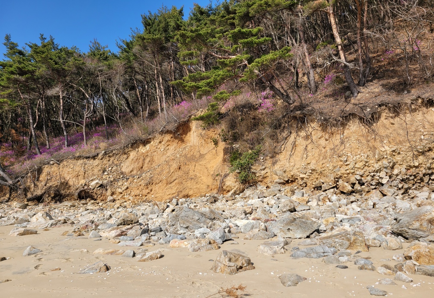 침식현상이 심화되고 있는 대이작도 해변 모습.(대이작도 주민 제공]