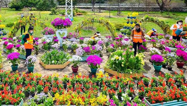 태양절 앞두고 꽃 가꾸는 북한 노동자들