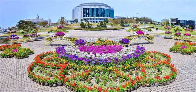태양절 하루 앞둔 평양…거리 곳곳에 봄꽃 만발