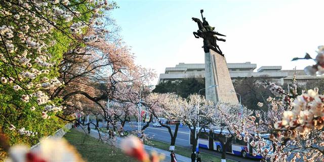 노동신문이 공개한 4월 평양 봄 거리…“꽃바다 펼쳐져”