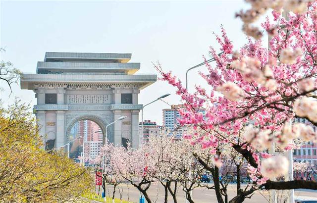 평양 개선문 앞 거리에 봄꽃 만발…‘4월의 평양’