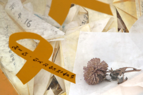 빛바랜 편지, 시든 국화…세월호 8주기 앞둔 목포신항