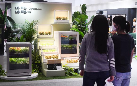 LG전자는 신개념 식물생활가전 ‘LG 틔운’ 등 혁신 제품을 소개했다. LG전자 제공