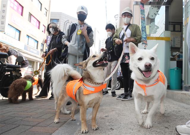 ‘산책도 하고 동네도 지키고’ 반려견 순찰대
