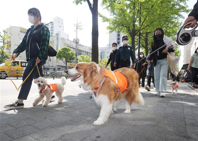 반려견순찰대 해치펫트롤