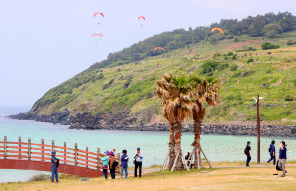 에메랄드빛 제주 바다 위 패러글라이딩