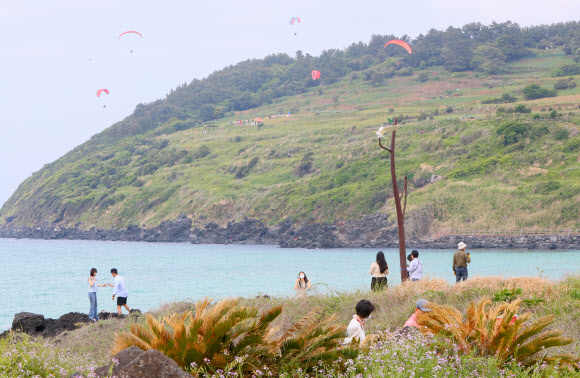 에메랄드빛 제주 바다 위 패러글라이딩