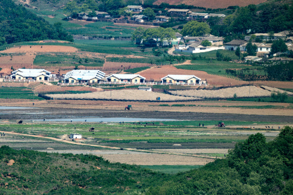 북한이 신종 코로나바이러스 감염증(코로나19) 확진자가 발생한 사실을 처음으로 공개한 12일 경기도 파주시 오두산 통일전망대에서 바라본 북한 황해북도 개풍군에서 북한 주민들이 농사일을 하고 있다. 2022.5.12  연합뉴스