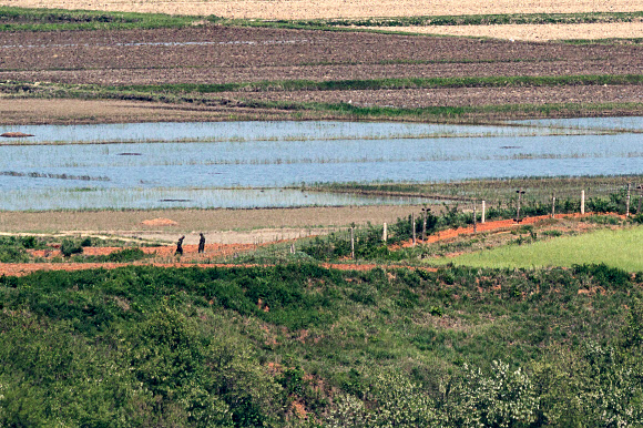 북한이 신종 코로나바이러스 감염증(코로나19) 확진자가 발생한 사실을 처음으로 공개한 12일 경기도 파주시 오두산 통일전망대에서 바라본 북한 황해북도 개풍군 임진강변 철책에 북한군이 모여 있다. 2022.5.12  연합뉴스