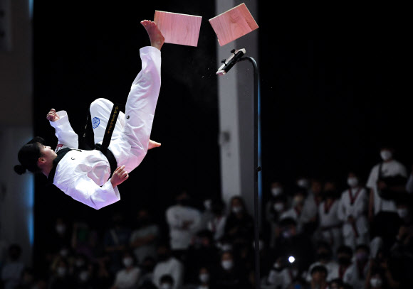 화려한 국기원 태권도 시범