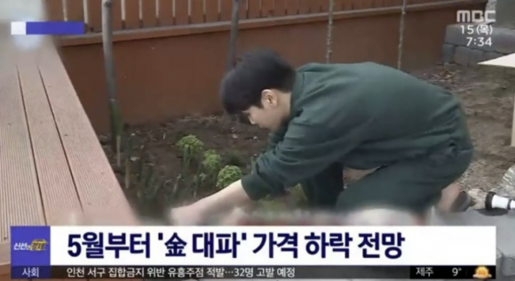 MBC ‘뉴스투데이’ 화면 캡처