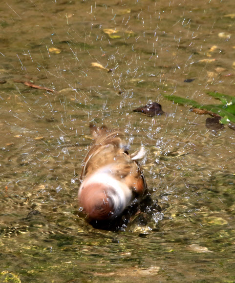 시원하다 시원해