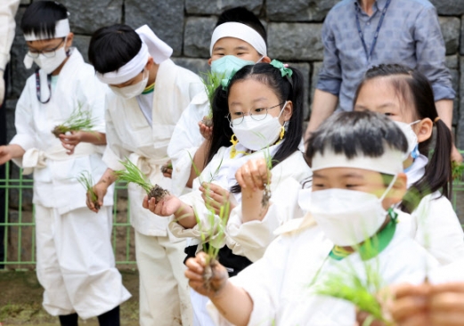 전통 손모내기 재연하는 어린이들