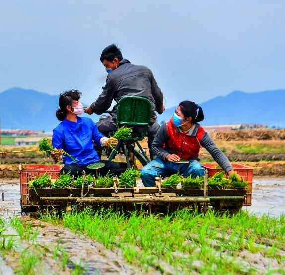 북한, 농기계 가동률도 최고 수위로…‘모내기 결속’ 박차