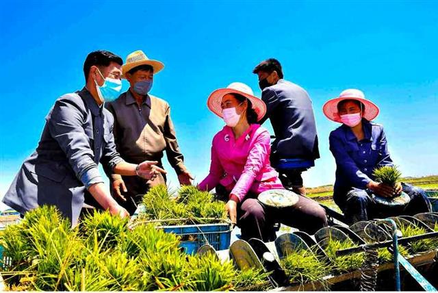 북한, 농업 생산량 확대 강조…“모내기 최적기 보장 노력”