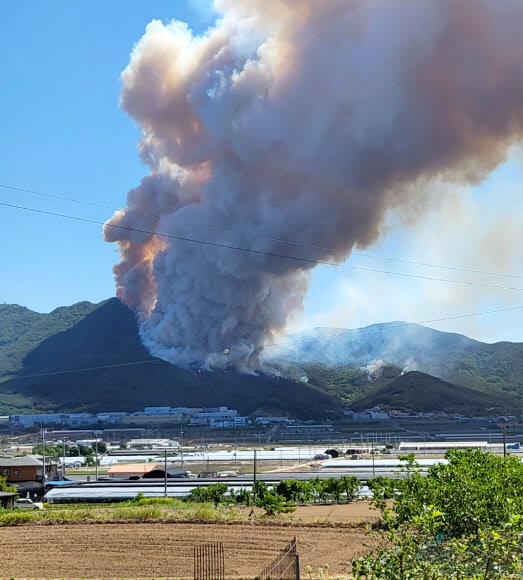 밀양 부북면 산불