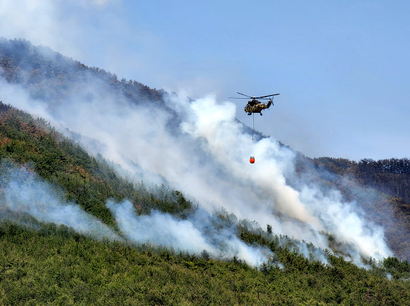 경남 밀양 산불이 이틀째 이어지고 있는 1일 오후 밀양시 부북면 춘화리 산 41 일원에서 군 헬기가 진화작업을 하고 있다. 2022.06.01. 뉴시스