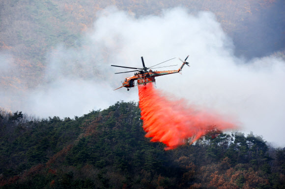 1일 오후 경남 밀양시 부북면 산불현장에서 산불진화헬기가 산불지연제(리타던트)를 뿌리며 산불을 진화하고 있다. 산림청