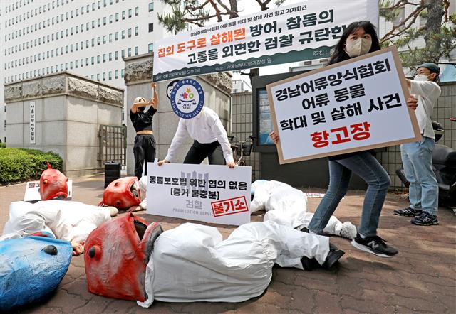 동물해방물결 관계자들이 2일 서울 양천구 남부지검 앞에서 어류 동물 학대 사건 규탄 퍼포먼스를 벌이고 있다. 2022.6.2 뉴스1