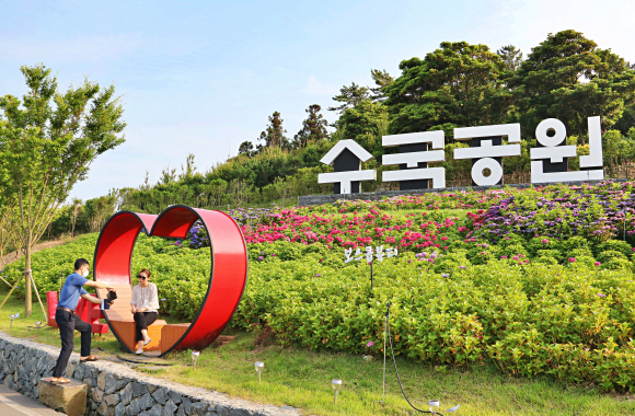 6월에 절정을 이루는 전남 신안 도초도 수국공원. <br>한국관광공사 제공
